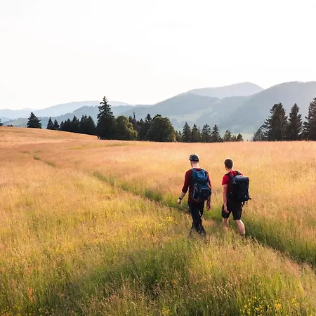 Almgasthaus Knoepflesbrunnen Doppelzimmer